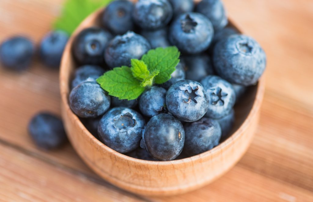 Borówka amerykańska