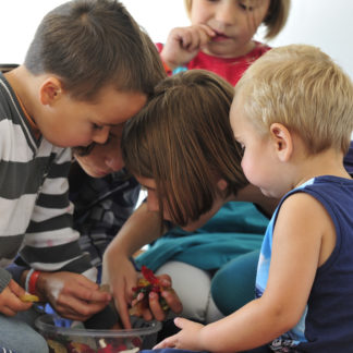 Rodzina wielodzietna