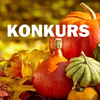 Konkurs_Dyniowe inspiracje kulinarne