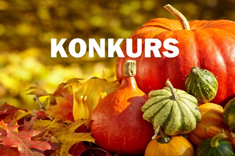 Konkurs – dyniowe inspiracje kulinarne