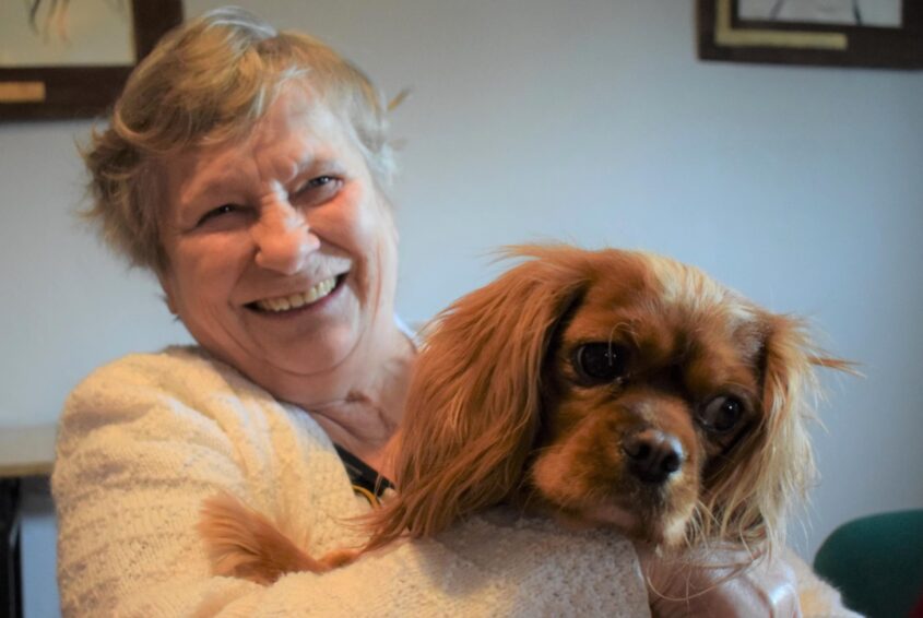 Wsparcie na czterech łapach_dogoterapia Wsparcie na czterech łapach