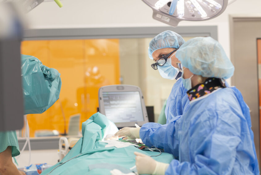 2K.Kardiologii_UCK_fot.Sylwia Mierzewska _17 zawał serca