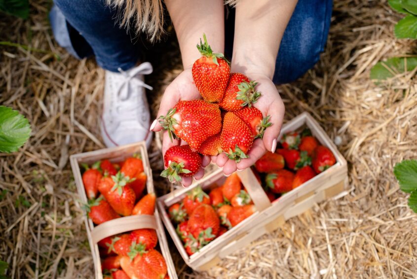 Polskie truskawki_03