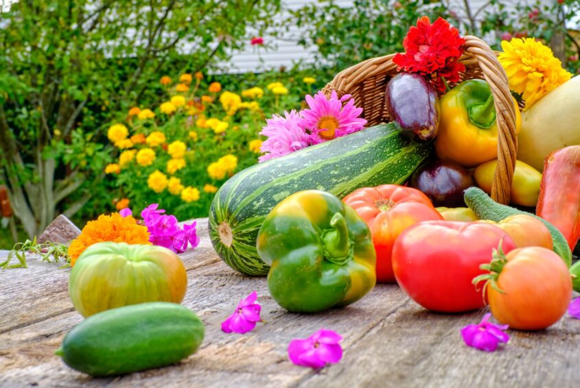 sezon na polskie warzywa