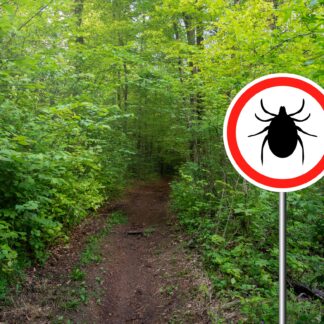 Sezon na kleszcze
